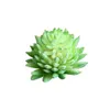 Fleurs décoratives 5pcs mini assortiment vert fausse plantes succulentes articulent cactus émulation pour le bureau de table de bureau de bureau