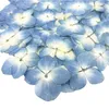 Kwiaty dekoracyjne 12pcs suszony prasowany naturalny hortensja DIY dla artystycznego rzemiosła