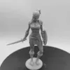 Anime Manga Female Warrior Diy Resin Figure 1/24 Scale 75mm Vertical Height Assemble Model Kit Unassembled Amas Unpainted Statuettes Toy