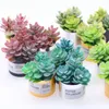 装飾的な置物3PCSドールハウスマイクロランドスケープミニチュアグリーン植物ポット家具多肉植物植物小さな鉢植え