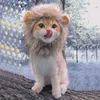 Trajes de gato animais de estimação engraçados Cap leão peruca fantasia fantasia de cachorro cosplay roupas de festa up orares cachorro gatinho animal de estimação fofo acessórios com vestido ha