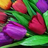 Fleurs décoratives printemps artificiel tulip porte d'entrée couronne de décoration intérieure de la maison