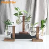 Transparante bolvaas met houten standaard bureaubladglasplanter voor hydrocultuurplanten Coffee Shop Room Decor 240423