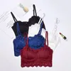 Bras Bellissimo renaggio reggiseno sottile di pizzo da donna senza cinghia anello in acciaio piccole petto raccoglie il supporto