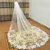 Bridal Veils 2024 Modern Graceful Women's Wedding Veil Exquis Luxurious Lace Appliques cathédrale charmante Tocado Novia Boda