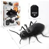 Infrared RC Remote Control Animal insect Toy Smart Cockroach Spider Ant Insect Scary Trick Halloween Toy Christmas kids Gift 240408