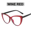 Lunettes de soleil Frames Fashion Anti-Blue Ray Cat Lunes Eyes Full Full Fild Fily Style Léopard Print Lady Wear Women Girls Girls