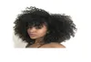 الشعر البرازيلي الجديد African Africi Ameri Bob Afro Kinky Curly Wig Simulation Human Hair Curly Wig with Bang in Stock7374590
