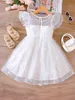 Girl's Dresses Summer New Romantic And Elegant Dress For Primary And Secondary School Children White Mesh Girl Princess Dress Y240415