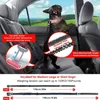 Collari per cani tattici bungee guinzaglio riflettente pesante per addestramento medio ampio assorbimento di cani canali di sicurezza per auto