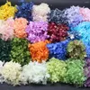 Fleurs décoratives 5g / lot Hortensia éternelle Fleur séchée Natural Natural Fresh Tiches Pièces préservées pour ongles DIY