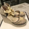 Wedge Sandaal Luxe Dia Designer Woman grof voor hoge hakschoen zomer klassiek dik platform man Espadrille met lintleren dame slipper