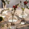 花瓶シンプルな水耕栽培透明植物フラワーテーブル水耕瓶マッシュルームガラスの花瓶