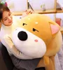 Cucciolo per cani per cucciolo gigante con bambola grassa di shiba inu cartone da sonno per cani per cani per bambini regalo di compleanno per bambini 39 pollici da 100 cm dy50809316531