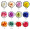 Fleurs décoratives 10pcs 13 cm Péon artificielle têtes de fleurs de mariage anniversaire de fête de fête de fête décoration fausse guirlande bricolage artisanat à la main Flores