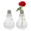 Vases en verre en forme d'ampoule Vases modernes Transparentes pour les décorations hydroponiques de planter créatif de bureau