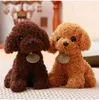 Poux en peluche 1pc animaux simulation en peluche dame dame toys toys poupées enfants kawaii soft peluche jouet bébé cadeau d'anniversaire pour enfants dropshipping y240415