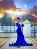 2024 Royal Blue 3/4 Long Sleeves Evening Dresses Sheer Neck Illusion Plunging Mermaid Sweep Train Custom Made Plus Size Prom Party Gowns