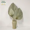 Dekorativa blommor naturliga palmblad boho heminredning trimmat torkat blad för höstbröllopsfest dekoration färgglada bågvägg tillbehör