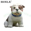 7mh (23 قدمًا) مع بيع منفاخ LifeLike Bulldog Pulldog Giant Cog Mascot Balloon للإعلان عن حديقة الحيوان