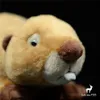 Animaux en peluche en peluche Beaver High Fidelity Anime mignon Otter Plushie Lutra Plush Toys Animaux réels Simulation Polon de bouche