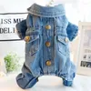 Abbigliamento per cani spessi vestiti caldi abiti inverno per animali domestici in denim jeans giacca da camicia cucciolo Yorkie pomeranian bichon poodle costume turisce