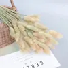 Decoratieve bloemen Natuurlijke gedroogde bloemen Pampas Reed Tail Grass Gem Wedding Festival Party Decoratie Boho Noords Home Decor