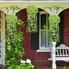 Dekorativa blommor konstgjorda orkidéblomma hängande vägg gäng violett krans wisteria korg