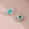 Orecchini per borchie in stile vintage di lusso cristallo zircone scintillante per femmina femmina in acciaio inossidabile gioielli all'ingrosso