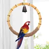 Andra fågelförsörjningar Birdcage Swing med Bell Parrot Summer Hammock Woodset Toys för parakiter