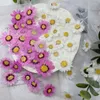 Decorative Flowers 60pcs Pressed Dried White/Purple Rhodanthe Manglesii Flower Plant Herbarium For Jewelry Postcard Phone Case Bookmark