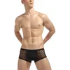 Sous-caissier Sysy Boxer Upx Sissy Tangas Sissy Tangas