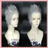 Game Devil May Cry 5 Vergil Kısa Gümüş Gri Cosplay WIG238G