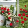 Decorative Flowers Realistic Red Roses Artificial Dark Fake Long Stem Silk Rose & Exquisite Flower