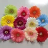 Fiori decorativi 50pcs/lotto 10 cm teste di seta a margherite artificiali per decorazioni per matrimoni fai -da -te Artigianato di arredamento Floro