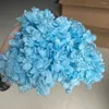 Fleurs décoratives 5g / lot Hortensia éternelle Fleur séchée Natural Natural Fresh Tiches Pièces préservées pour ongles DIY