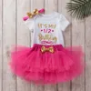 Roupas infantis, roupas de primeiro ano de bebê, macacão de desenho animado, conjunto de vestido rosa princesa rosa