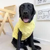 Vestuário para cães de vestuário médio e grande capa/inverno com suéter de lã de coral Labrador Doberman Acessórios de fantasia colete colete