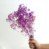 Fleurs décoratives Natural Fresh Sèche Préservé Gypsophile Paniculata Baby's Breath Bouquets Gift for Party Wedding Decoration Home Decor