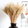 Fiori decorativi 100 pezzi orecchie di grano naturali essiccanti naturali incantevoli erba dorata per decorazioni per matrimoni bouquet Accessori fai -da -te
