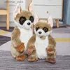 Animaux en peluche en peluche Lemur Catta duvelu du dulufy Real Life en peluche Lémur en peluche Toy sauvages Animaux Soft Doll Kid