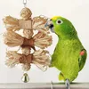 Andra fågelförsörjningar Pet Chews Toys Parrot Macaw African Gray Budgie Parakeet Cockatiels Lovebird Bites Swing Cures