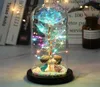 2020 LED Enchanted Galaxy Rose Eternal 24K Gold Foil Flower With Fairy String Lights In Dome For Christmas Valentine039s Day Gi2739096