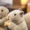 Animais de pelúcia de pelúcia 20cm Squirrel Esquilo brinquedos de pelúcia de luxuos