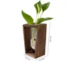 Vases Grass Test Tube With Wooden Frame Minimalist Hydroponic Green Plant Container Home Decoration