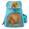 Transportadores de gatos Backpack transportador de animais de estimação com malha para cães pequenos gatos filhotes Comfort Airline aprovou Hikin