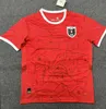 オーストリアサッカージャージ2024 X.Schlager Sabitzer Alaba Austria Football Shirts 24 25 Laimer Baumgartner Danso Seiwald Lienhart Jersey