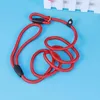 Hondenkragen nylon training riem zware duty duurzaam wandelen voor grote middelgrote honden maat (rood) roulette