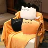 Animais de pelúcia de pelúcia 38 cm Kawaii Cat travesseiro com manta de biscoitos fofinhos Biscoitos Kids Toys Doll Plush Baby Toys Cushion Peluche Presente para amigos crianças L47