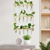 Vases Wall Hanging Hydroponic Test Tube Terrariums Propagation Stations With Wooden Stand For Plants Cuttings Glass Vase Home Decor